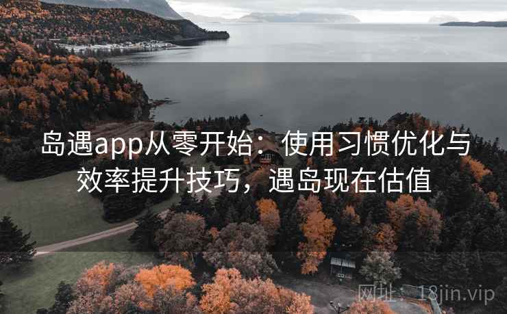 岛遇app从零开始：使用习惯优化与效率提升技巧，遇岛现在估值