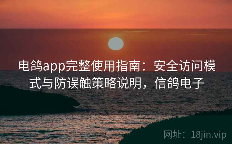 电鸽app完整使用指南：安全访问模式与防误触策略说明，信鸽电子