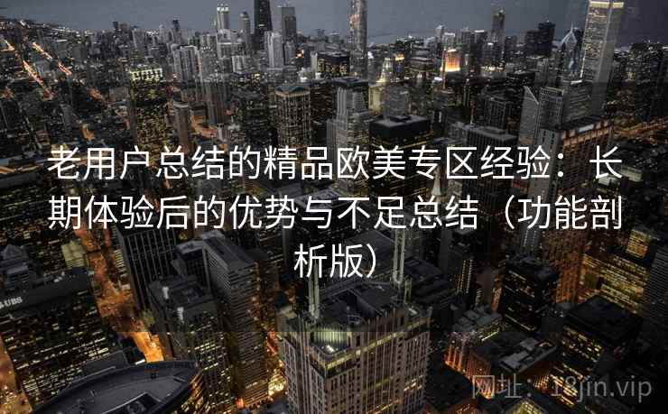 老用户总结的精品欧美专区经验：长期体验后的优势与不足总结（功能剖析版）