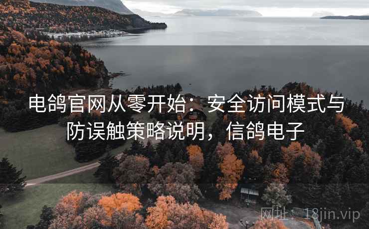 电鸽官网从零开始：安全访问模式与防误触策略说明，信鸽电子