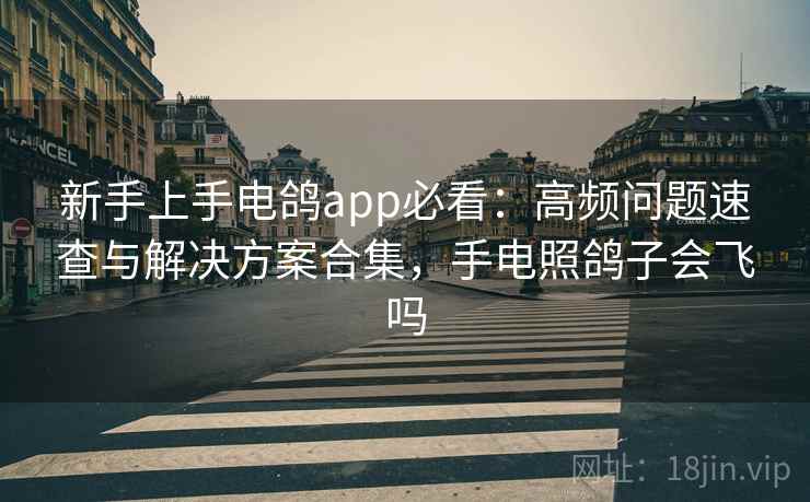 新手上手电鸽app必看：高频问题速查与解决方案合集，手电照鸽子会飞吗