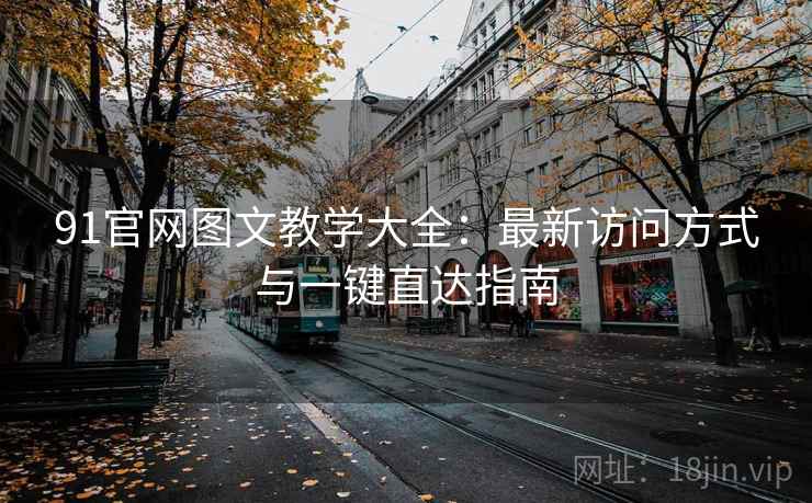 91官网图文教学大全：最新访问方式与一键直达指南