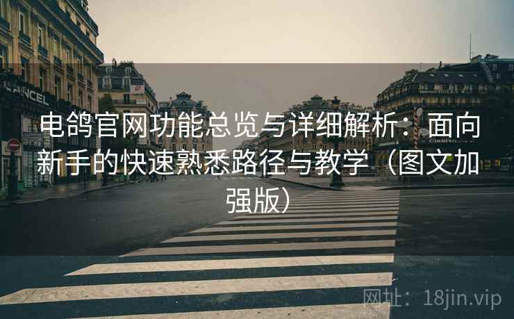 电鸽官网功能总览与详细解析：面向新手的快速熟悉路径与教学（图文加强版）