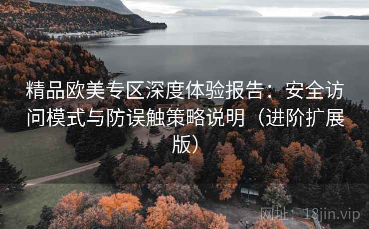 精品欧美专区深度体验报告：安全访问模式与防误触策略说明（进阶扩展版）
