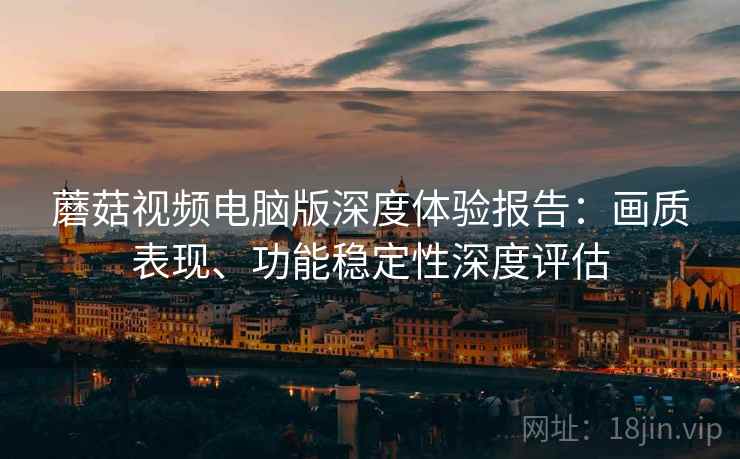 蘑菇视频电脑版深度体验报告：画质表现、功能稳定性深度评估