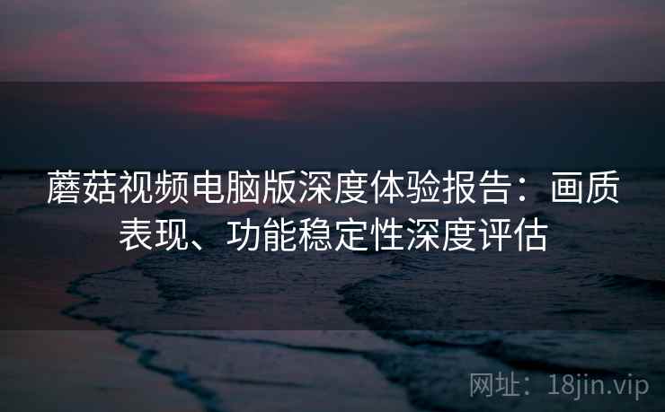 蘑菇视频电脑版深度体验报告：画质表现、功能稳定性深度评估