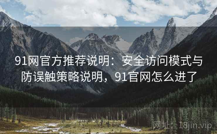 91网官方推荐说明：安全访问模式与防误触策略说明，91官网怎么进了