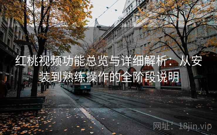 红桃视频功能总览与详细解析：从安装到熟练操作的全阶段说明