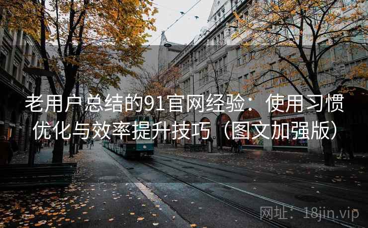 老用户总结的91官网经验：使用习惯优化与效率提升技巧（图文加强版）