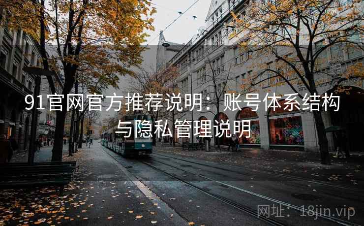 91官网官方推荐说明：账号体系结构与隐私管理说明