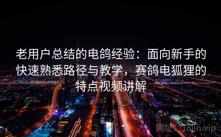 老用户总结的电鸽经验：面向新手的快速熟悉路径与教学，赛鸽电狐狸的特点视频讲解