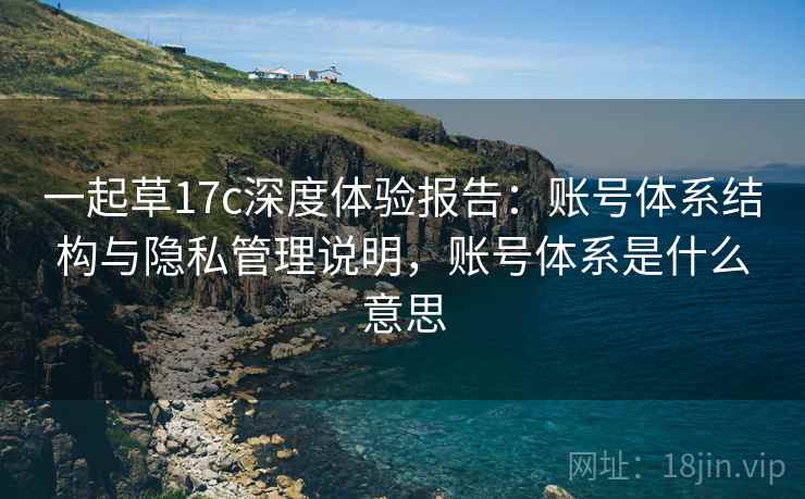 一起草17c深度体验报告：账号体系结构与隐私管理说明，账号体系是什么意思